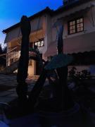 The land of the olive tree