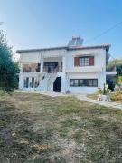 The land of the olive tree