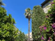 Top Villeneuve-lès-Maguelonne