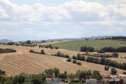 Top Sirolo