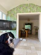 Luxury home in Oranmore