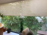 Top Playa del Carmen