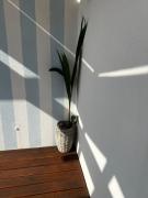 Top Póvoa de Varzim