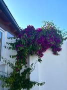 Top Torre San Giovanni Ugento