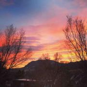 Top Colorado Springs