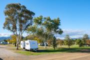Top Tamworth