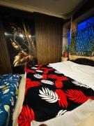 Mysore City Vibe By A1k