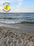 Top Gdańsk Top Gdańsk