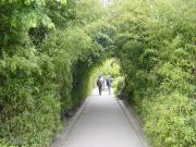 Quiet and comfortable apartment in Paris
