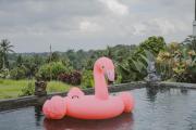 Top Ubud