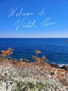 Top Hvar