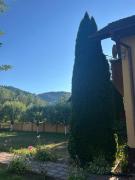 Top Vidra