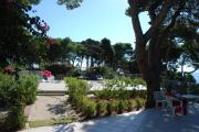 Top Isole Tremiti Top Isole Tremiti