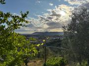 Forma Alta 59 Vineyard Reserve