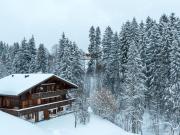 Top Gstaad Top Gstaad