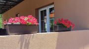 Top Ohrid