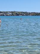 Alex Studio, Sozopol, Kavaci