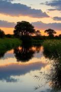 Ngulu Island Sanctuary