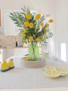 Lemon Tree House, Golden Beach