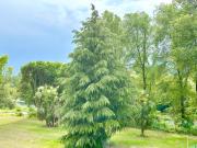 Top Bassano del Grappa