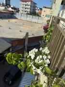 Top Phnom Penh