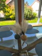 Top Danjoutin Top Danjoutin