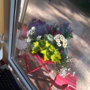 Top Dębki Top Dębki