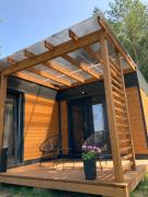 Top Krzywe Top Krzywe