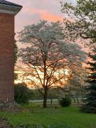 Top Niagara-on-the-Lake