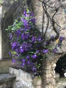 Molino Valsecchi 1369