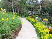 Top Kundasang