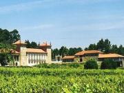 Top Ponte de Lima