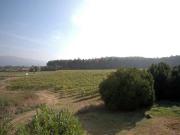 Top Ponte de Lima