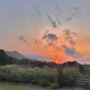 Almost Eden Guesthouse