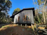 Top Valdivia Top Valdivia