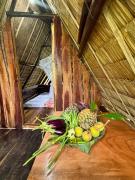 El Trinidad Organic Farm