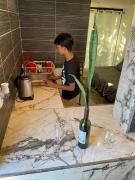 Top Torreón Top Torreón