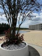 Top Šajdíkove Humence