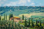 Top Bagno Vignoni