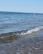 Top Mandatoriccio Marina