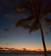 Calma Canaria Ocean Sunset Jacuzzi Wifi pool and bbq