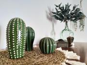 VolKKanrentals Villa Los Cactus