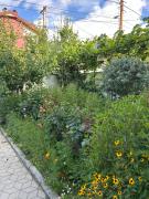 Guest House PIROSMANI