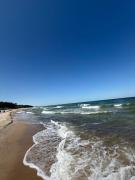 Top Skorka Top Skorka