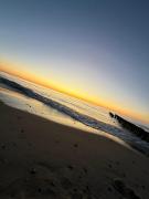 Top Skorka Top Skorka