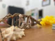 Cala San Giorgio Residence