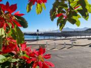 The Stone Cottage - Charming, Private and On the Beach - Sleeps 2