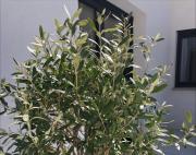 Top La Cadière-dʼAzur