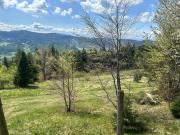 Top Ochotnica Górna