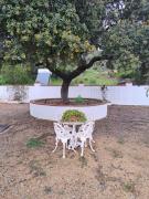 Top El Castillo de las Guardas Top El Castillo de las Guardas